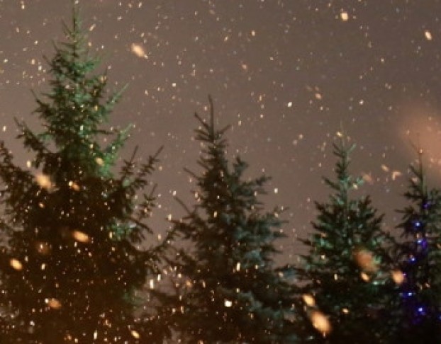 Снежная Королева