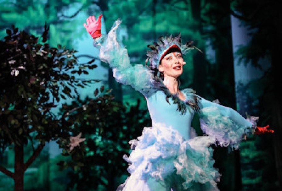 Кот в Сапогах