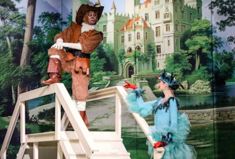 Кот в Сапогах