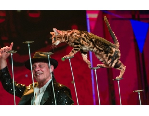 Пушистый Цирк