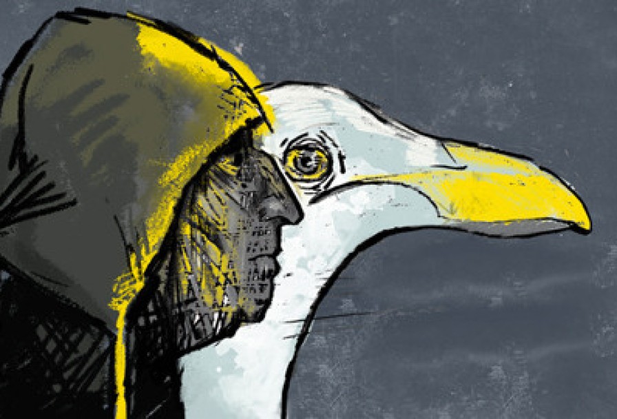 Чайка по Имени.