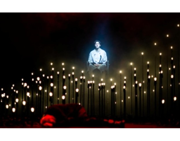 Гранатовый Уксус