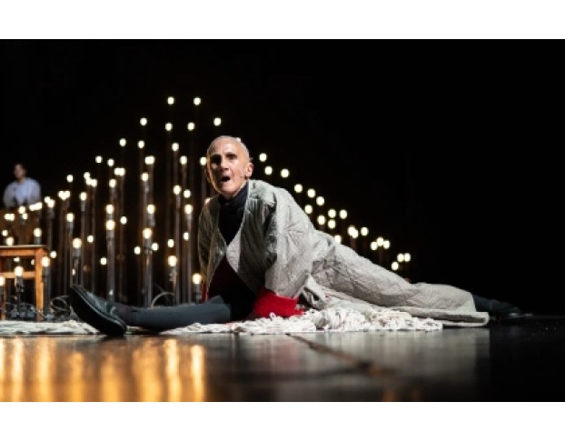 Гранатовый Уксус