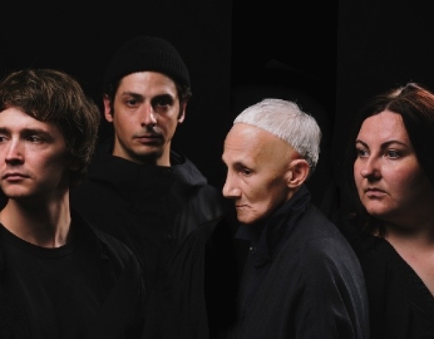 Гранатовый Уксус