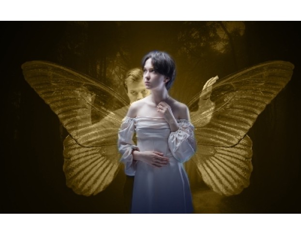 Коллекционер