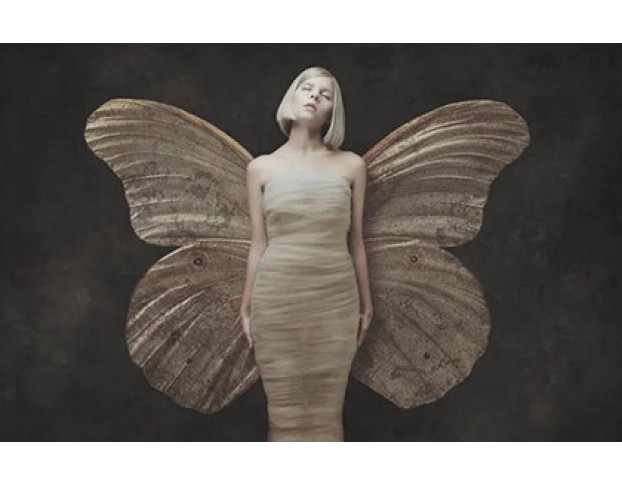 Коллекционер