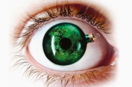 Беспринцыпный Новый Год. Сергей Бурунов, Гоша Куценко, Дарья Мороз и Александр Цыпкин