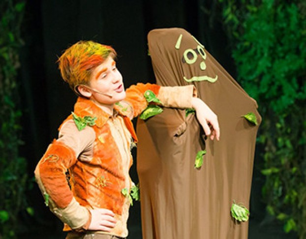 Ваня в Сарафане