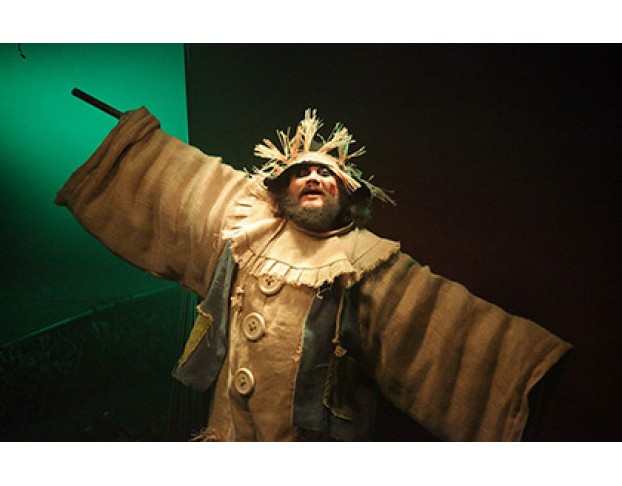 Дневник Элли