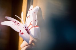 Мадам Баттерфляй