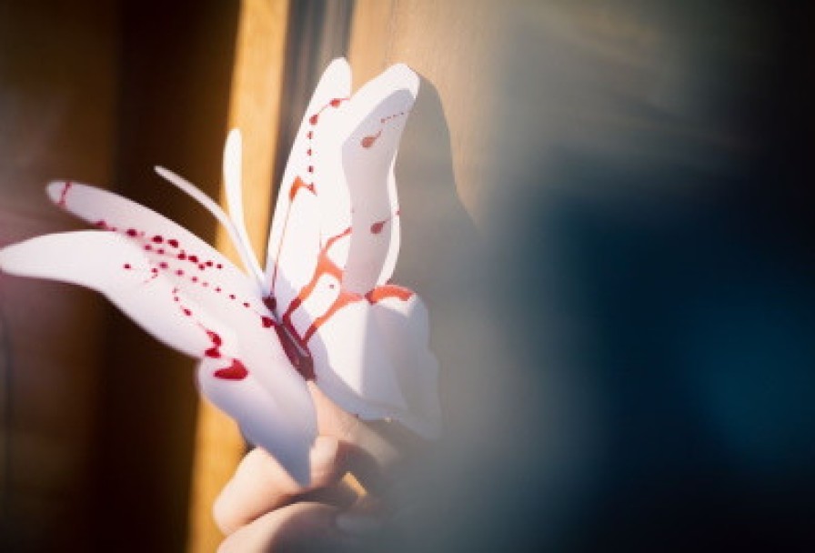 Мадам Баттерфляй