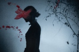 Женщина в Черном