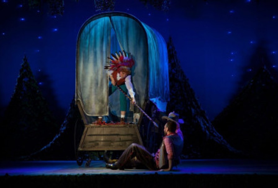 Вождь Краснокожих