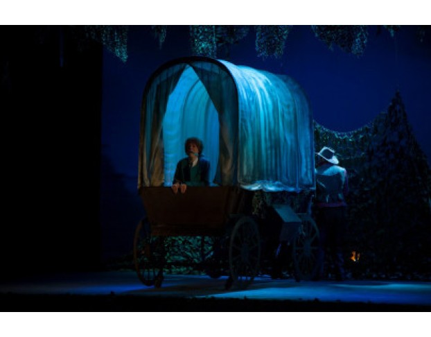 Вождь Краснокожих