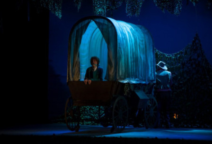 Вождь Краснокожих