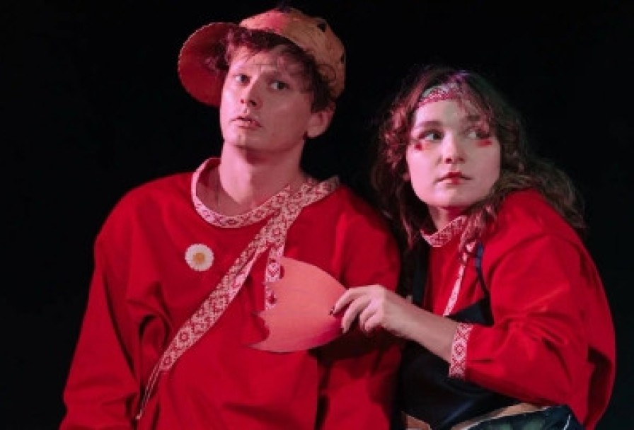 Богатырь Степан Ромашкин