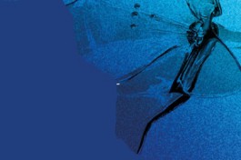 Хор как Жизнь