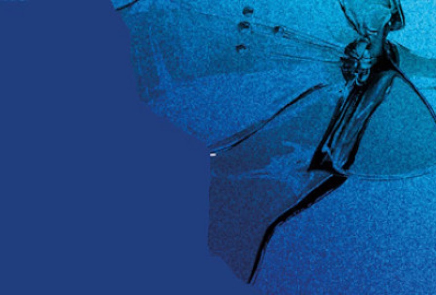 Хор как Жизнь