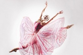 Балета и Музыки