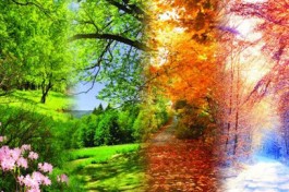 Музыка при Свечах Вивальди. Времена Года. Моцарт. Маленькая Ночная Серенада. Паганини. Кампанелла