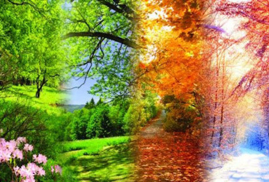 Музыка при Свечах Вивальди. Времена Года. Моцарт. Маленькая Ночная Серенада. Паганини. Кампанелла