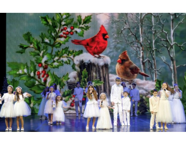 Радость Рождества в Кругу Семьи