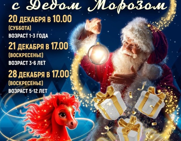 Новогоднее Шоу с Дедом Морозом