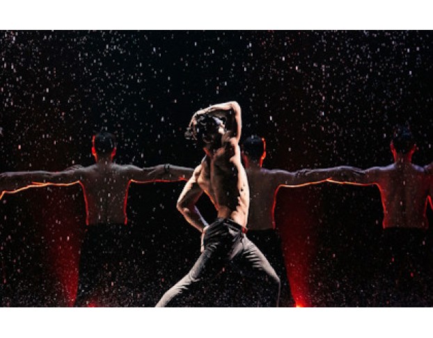 Шоу под Дождем 2026