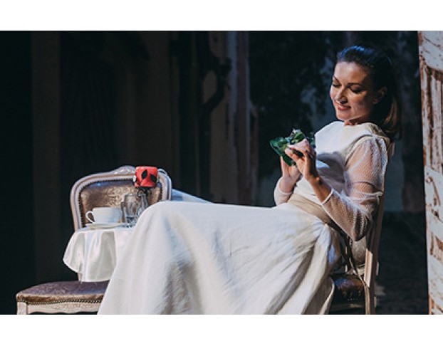 Идеальный Свидетель