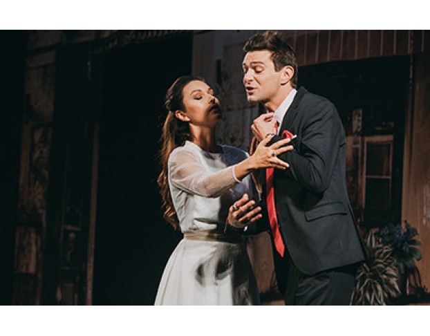 Идеальный Свидетель