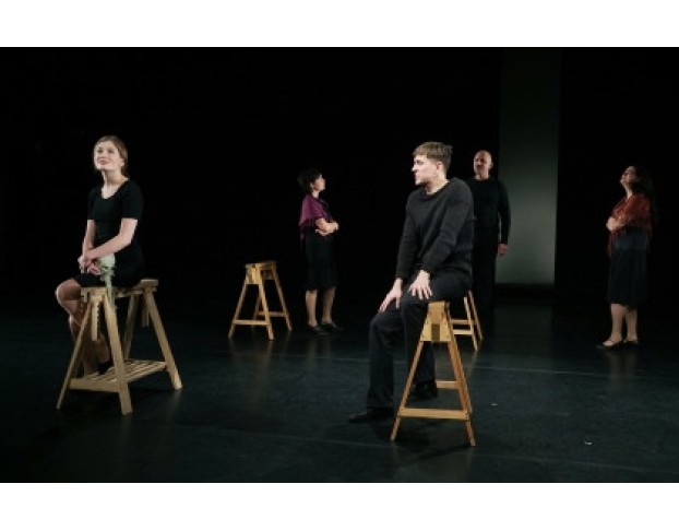 Пролетный Гусь