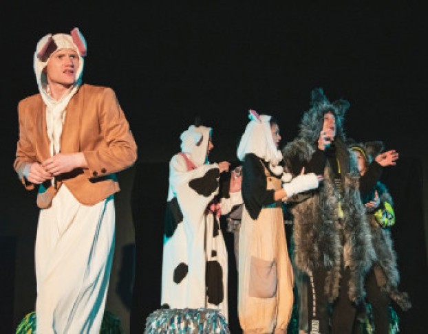 Гадкий Котёнок