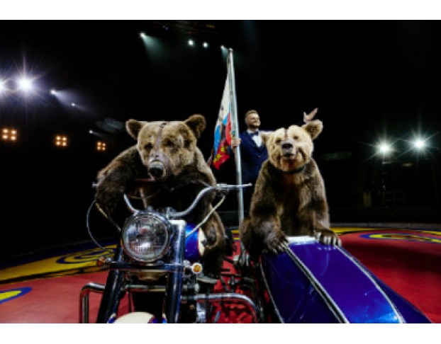 Цирк Филатовых