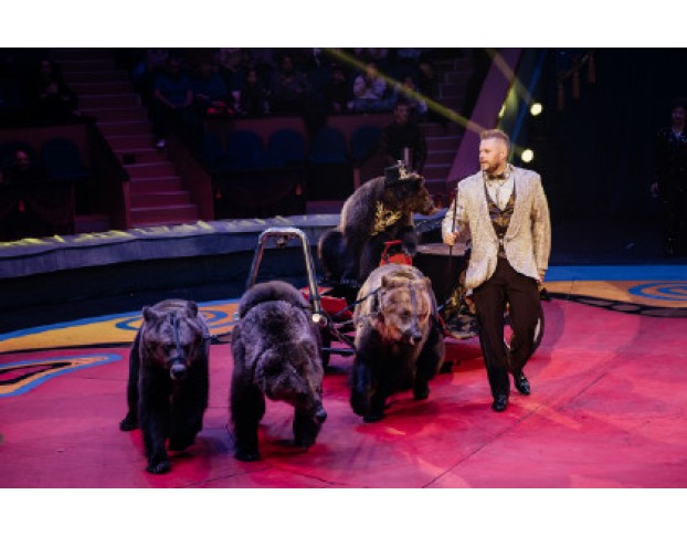 Цирк Филатовых