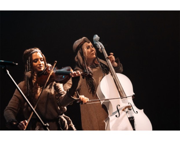 Группа Silenzium