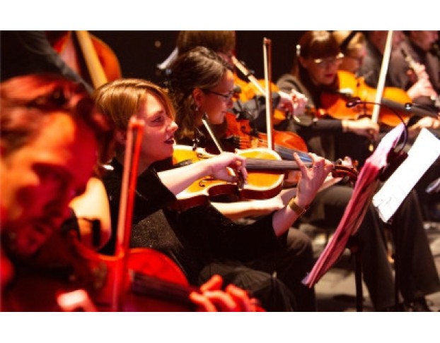 Гарри Поттер и Король. Фэнтези Шоу Оркестра Palladium