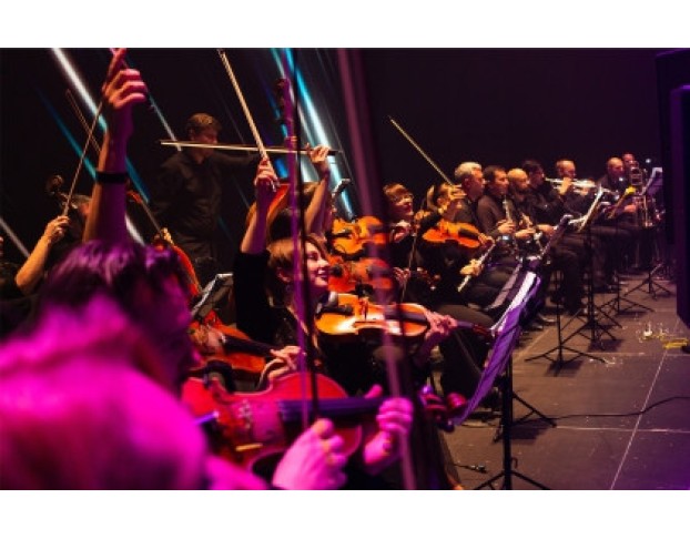 Гарри Поттер и Король. Фэнтези Шоу Оркестра Palladium