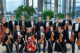 в Царстве Струнных Инструментов