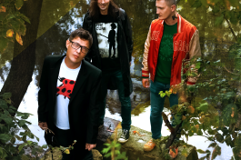 Радиопомехи