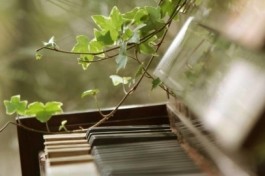 о Чем Поет Весна