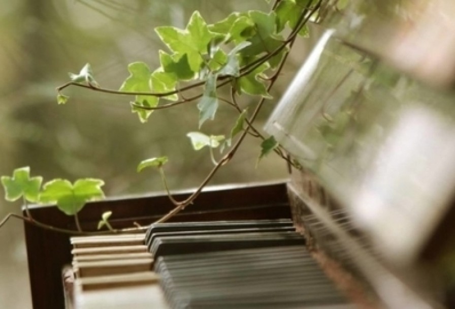 о Чем Поет Весна