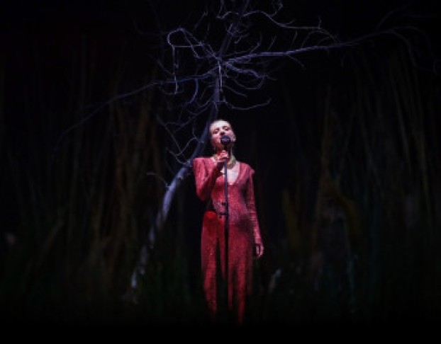 Бесприданница