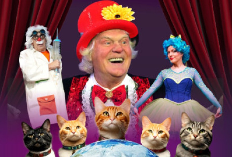 Коты Спасают Мир