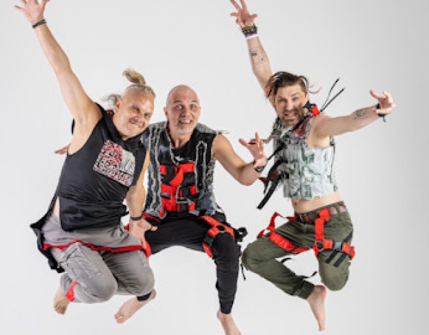 Группа Скворцы Степанова