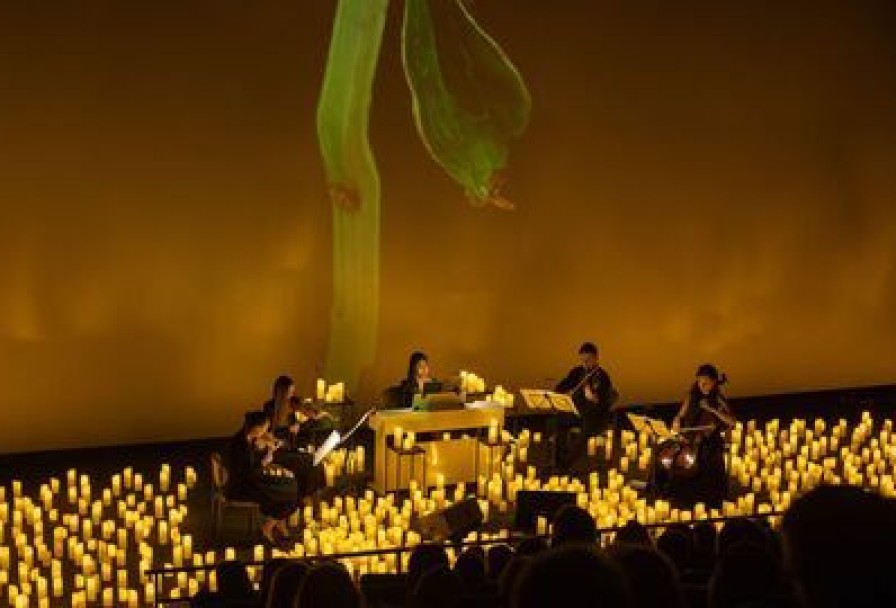 Lumos Concerts. Вивальди, Пьяццолла Времена Года. при 10