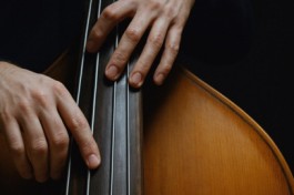 Contrabasso Suono Vivo