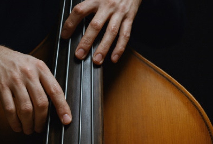 Contrabasso Suono Vivo