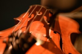 Элгарсибелиус