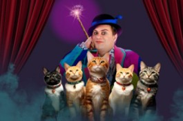 Владимир Куклачёв