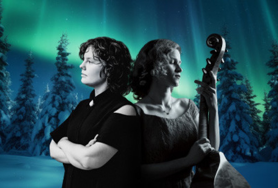 Барокко в Северной Европе Виола да Гамба и Орган